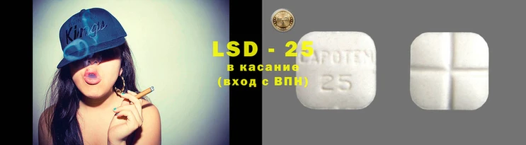 прущие крисы Приозерск