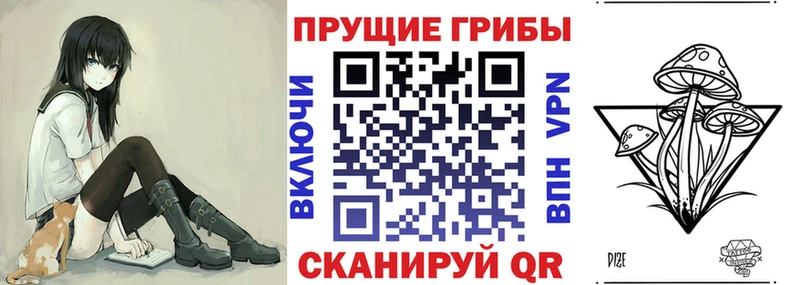 наркота Гагарин Галлюциногенные грибы Cubensis